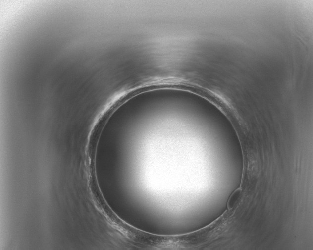 X0000059061414200510212014