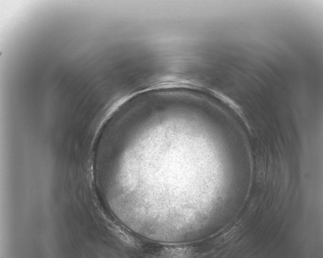 X0000059061415200510212014