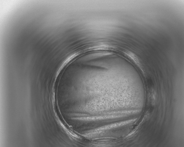 X0000059061418200510212014