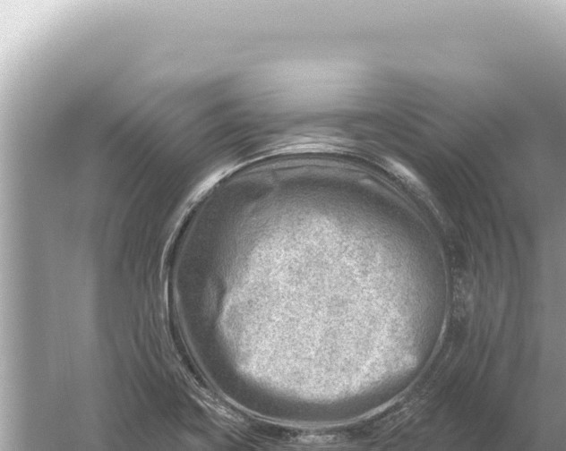 X0000059061419200510212014