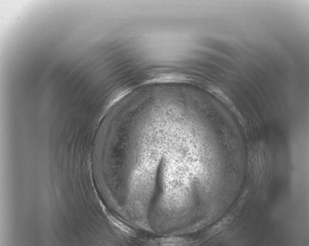 X0000059061425200510212014