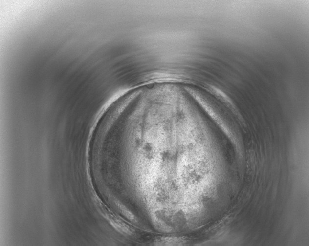 X0000059061427200510212015