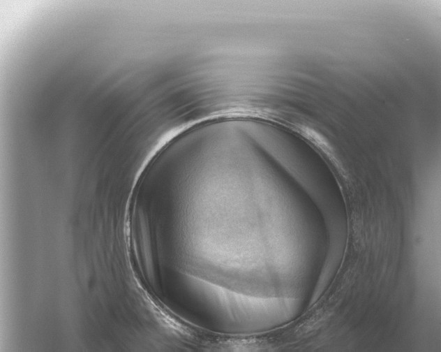 X0000059061428200510212015