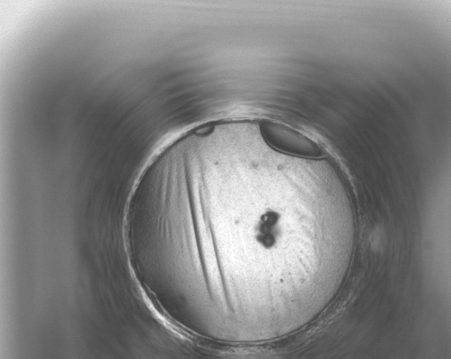 X0000059061429200510212015