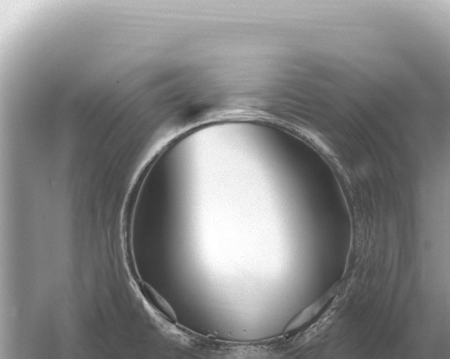 X0000059061430200510212015