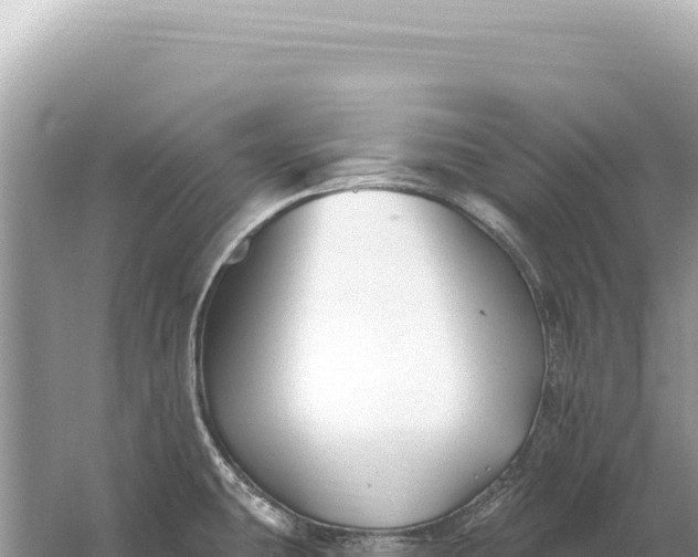 X0000059061431200510212015