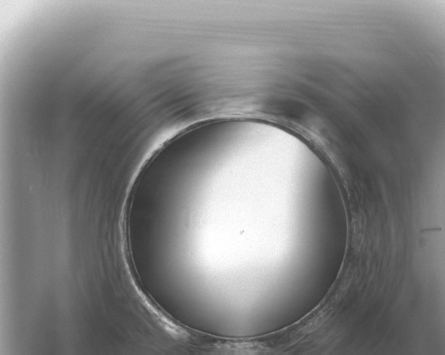 X0000059061432200510212015