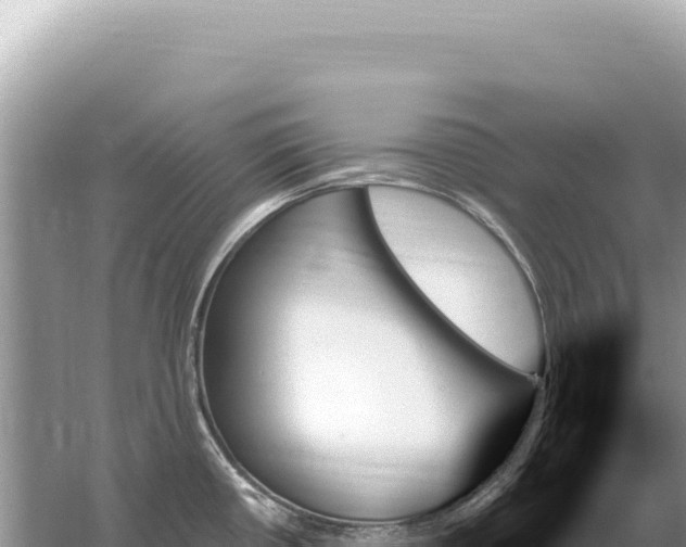 X0000059061434200510212015