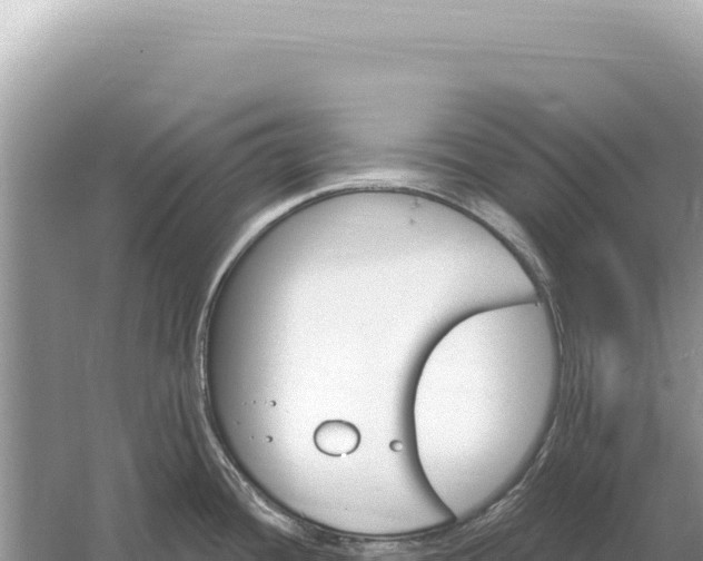 X0000059061436200510212015