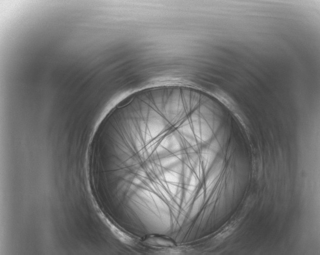 X0000059061438200510212015