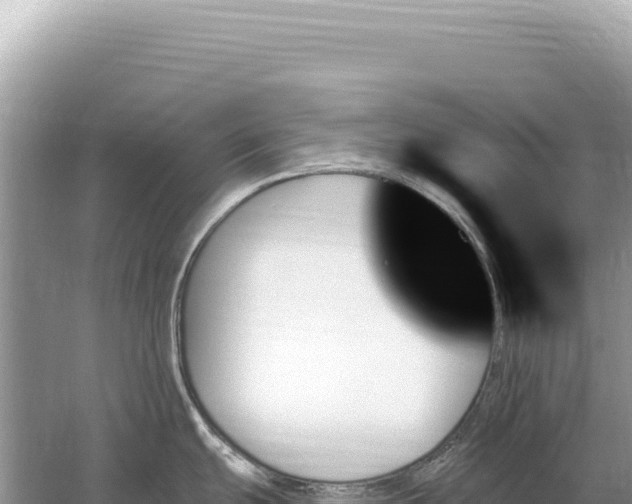 X0000059061439200510212015