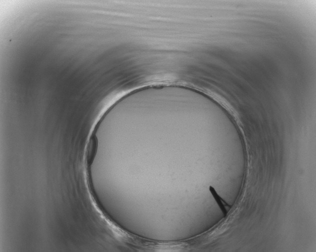 X0000059061440200510212015