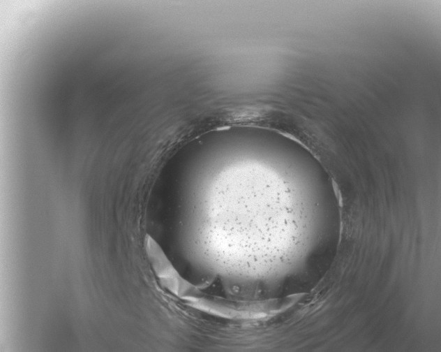 X0000059061441200510212014