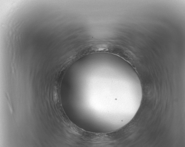 X0000059061442200510212014