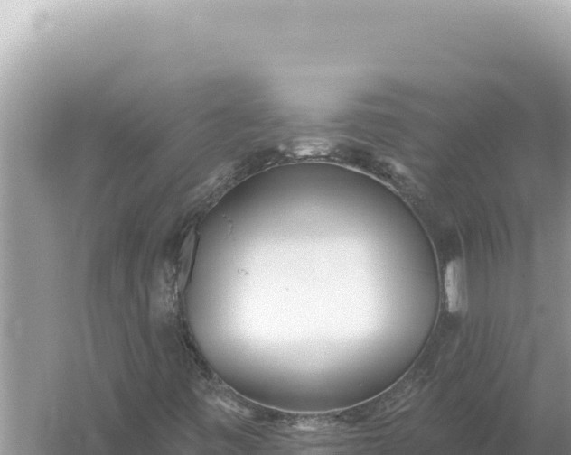 X0000059061443200510212014