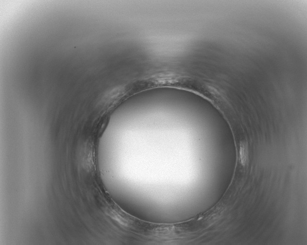 X0000059061444200510212014