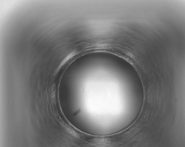 X0000059061450200510212014