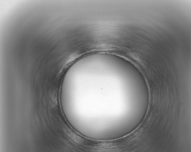 X0000059061451200510212014