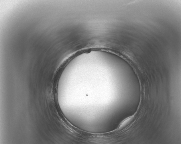 X0000059061452200510212014