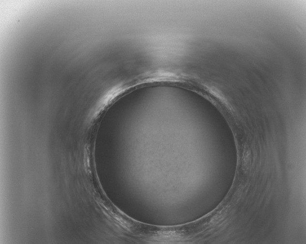 X0000059061455200510212014