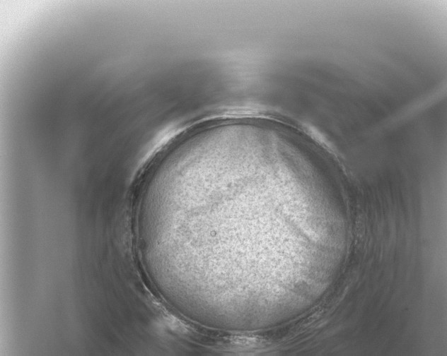 X0000059061456200510212014