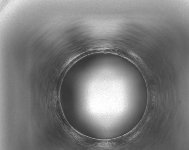 X0000059061457200510212014