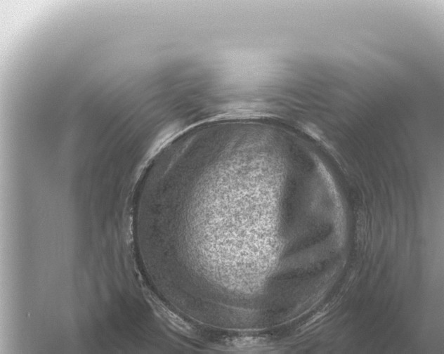 X0000059061459200510212014