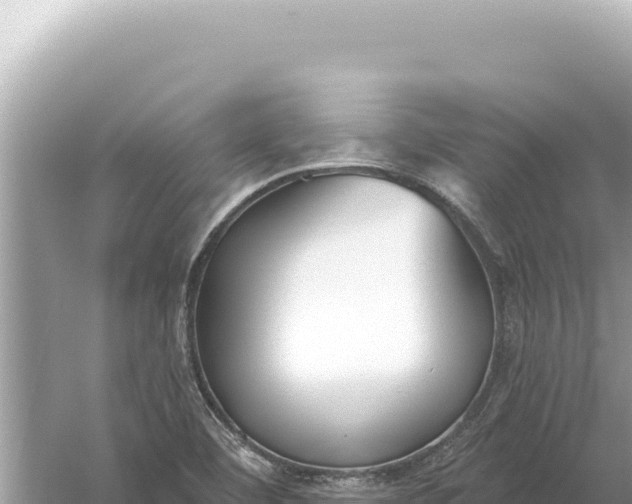 X0000059061460200510212014