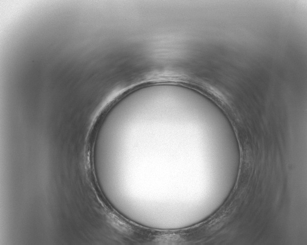 X0000059061462200510212014