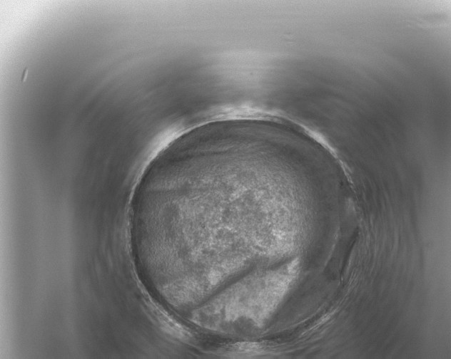 X0000059061463200510212014