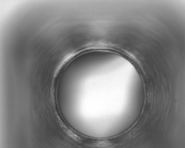 X0000059061464200510212014