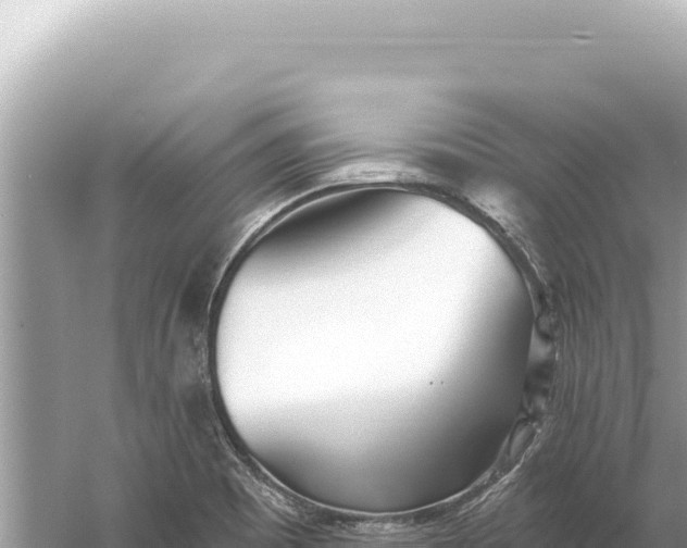 X0000059061465200510212013