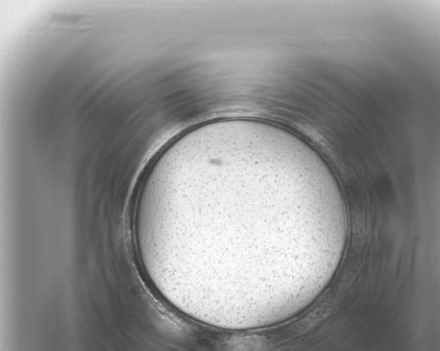 X0000059061466200510212013