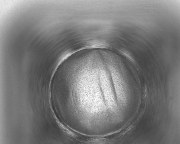 X0000059061471200510212013