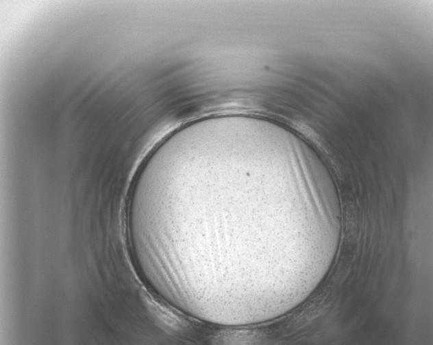 X0000059061474200510212013