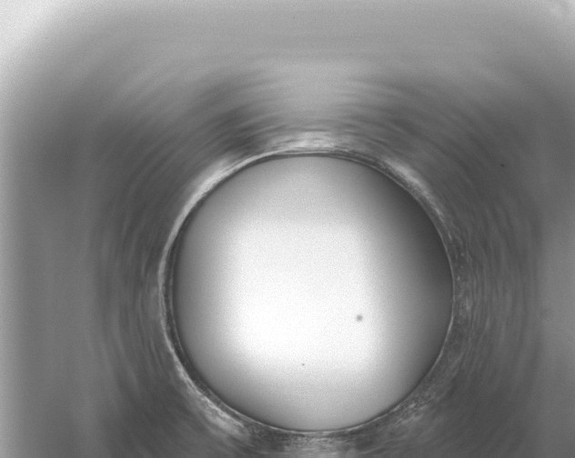 X0000059061475200510212013