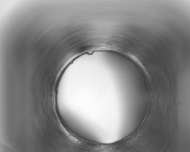 X0000059061476200510212013