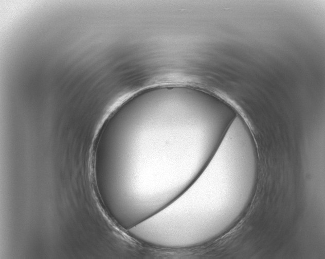 X0000059061477200510212013