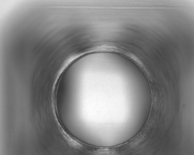 X0000059061478200510212013