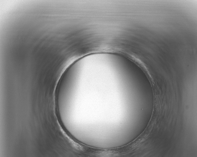 X0000059061479200510212013