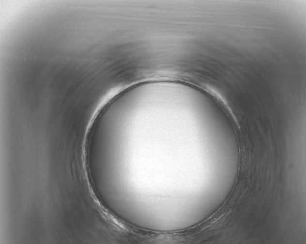 X0000059061480200510212013