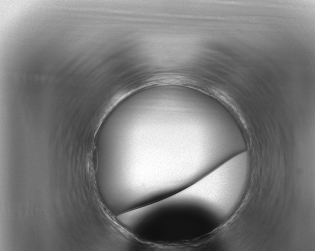 X0000059061481200510212013