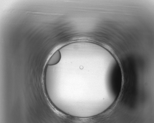 X0000059061482200510212013