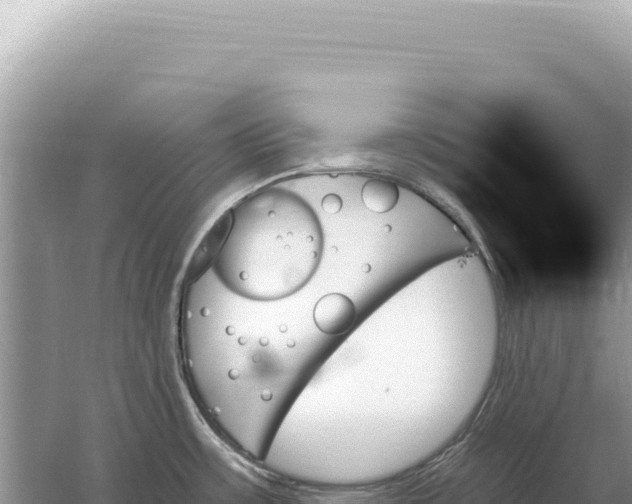 X0000059061483200510212013