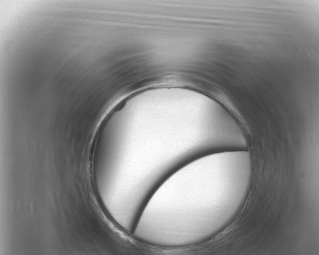 X0000059061484200510212013