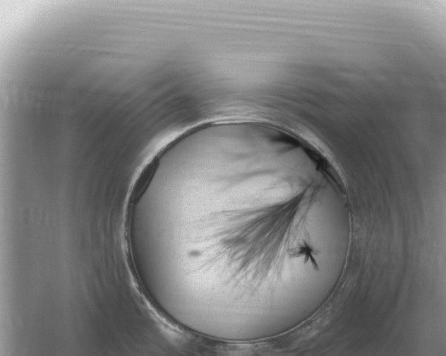 X0000059061485200510212013