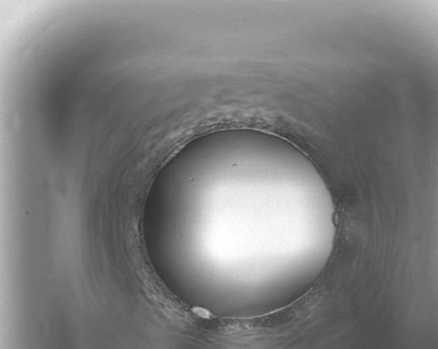 X0000059061489200510212012