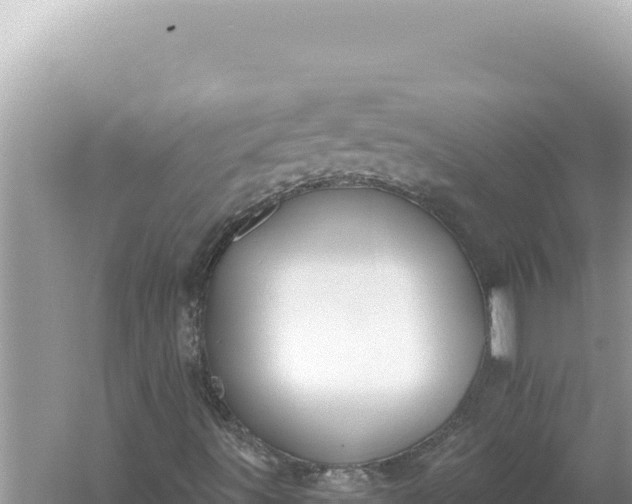 X0000059061491200510212012