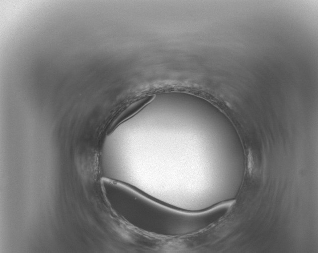 X0000059061492200510212012