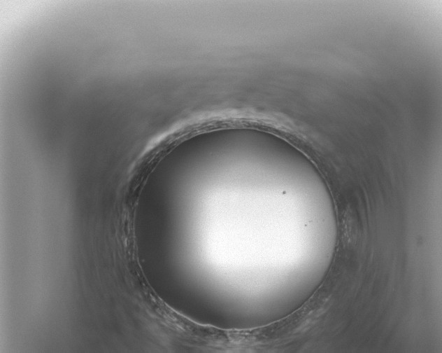 X0000059061494200510212012